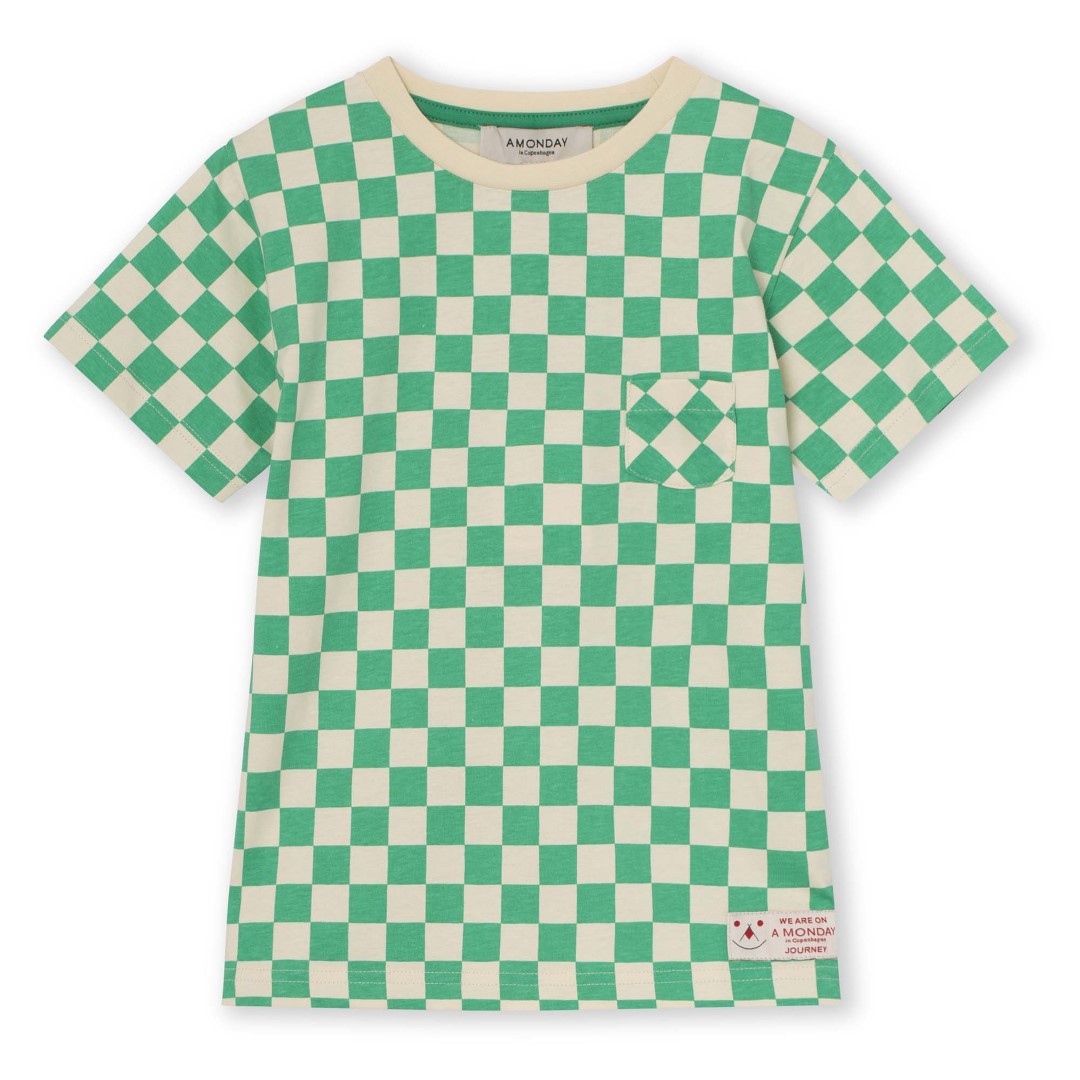 Ed T-shirt Holy Green Check