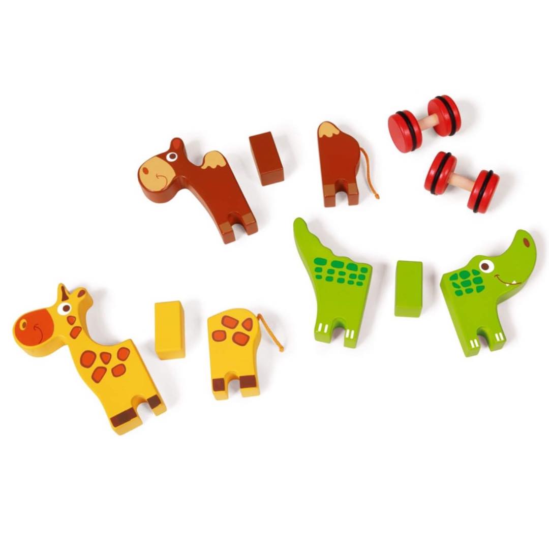 Magnetische Dieren Op Wielen Safari