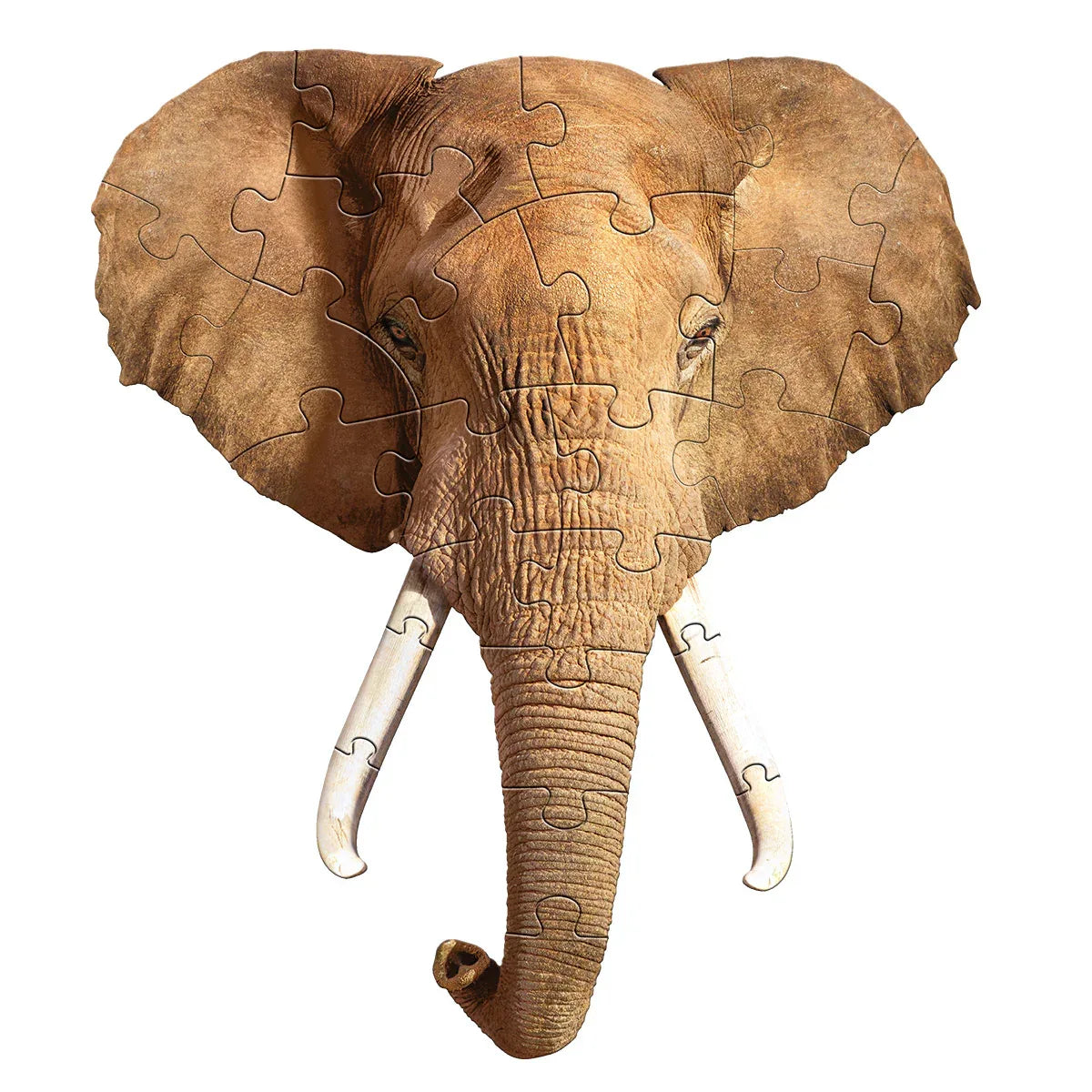 Puzzel Preschool I Am Elephant 24pcs - Madd Capp