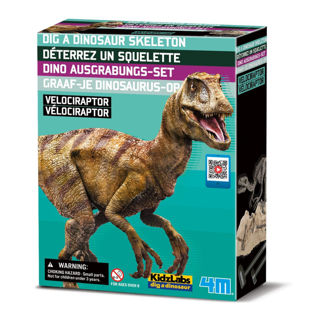 Graaf Je Dino Op Velociraptor