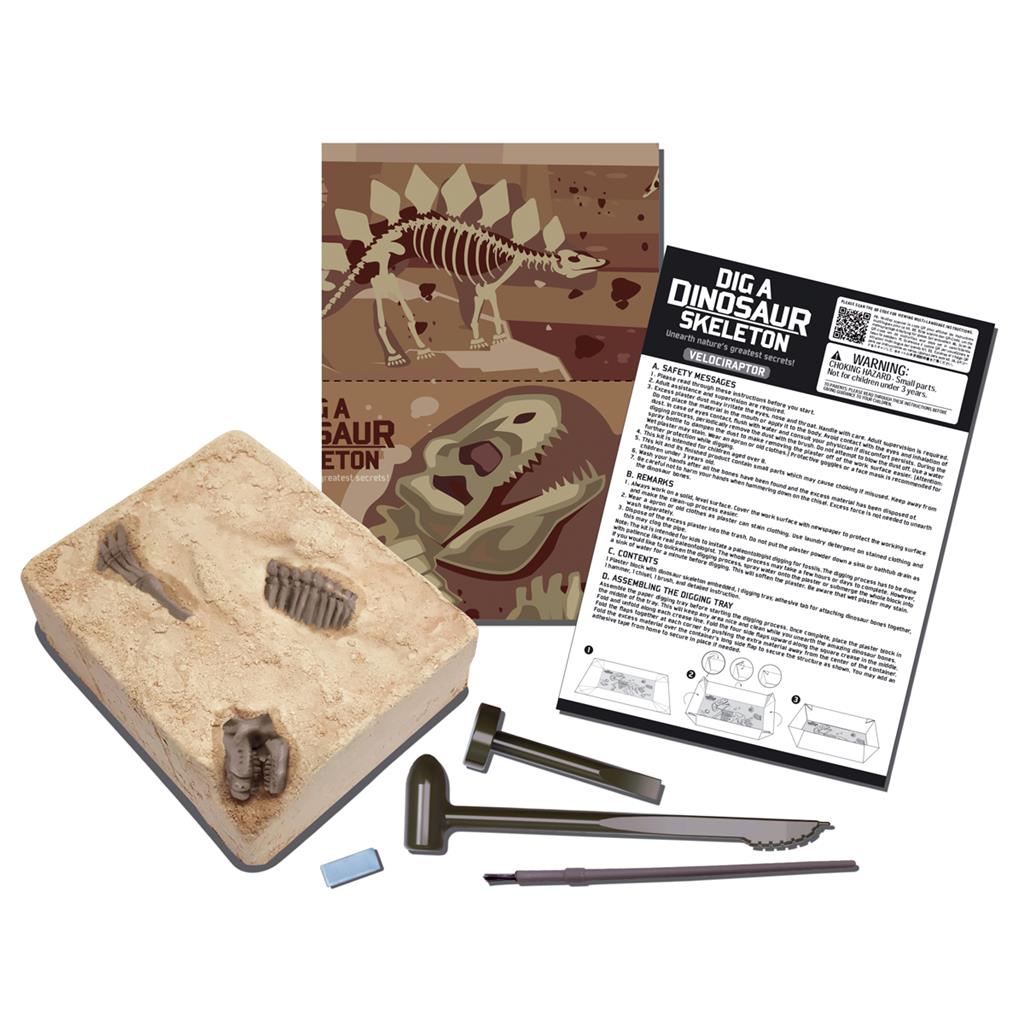 Graaf Je Dino Op Velociraptor