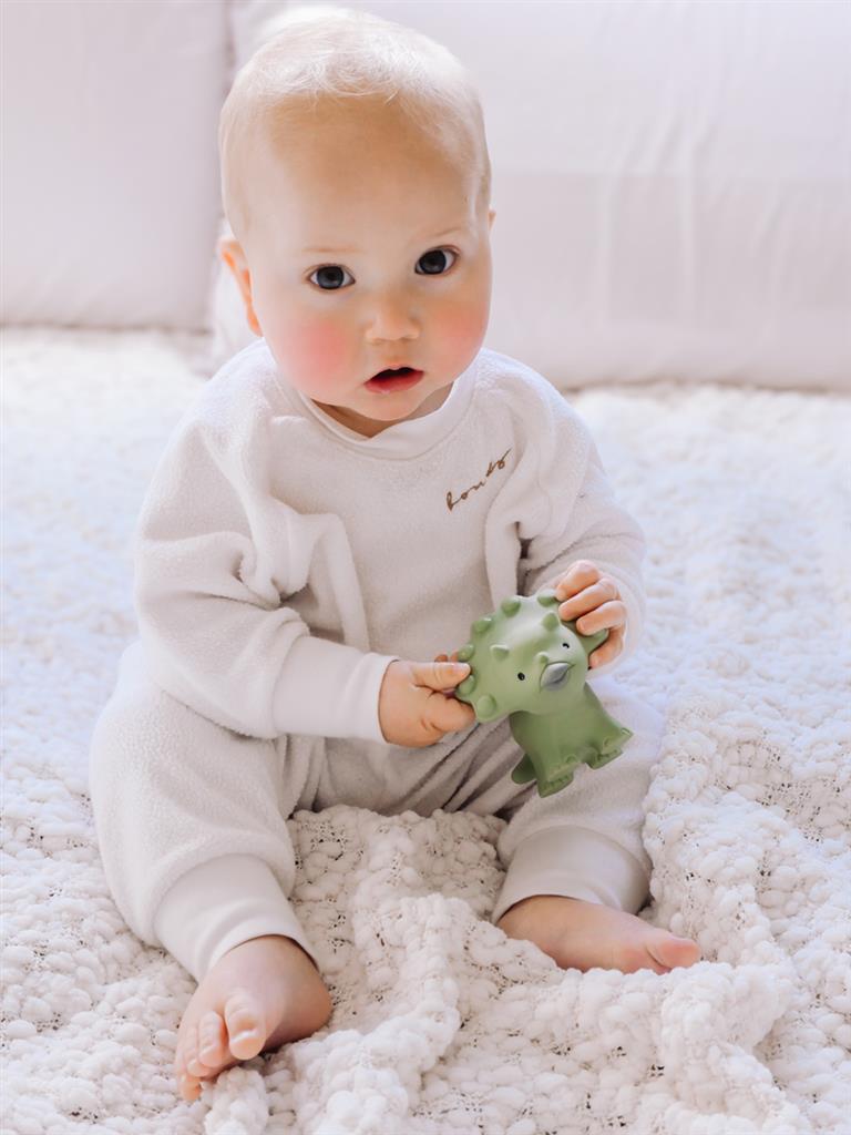 Mijn Eerste Dino - Triceratops