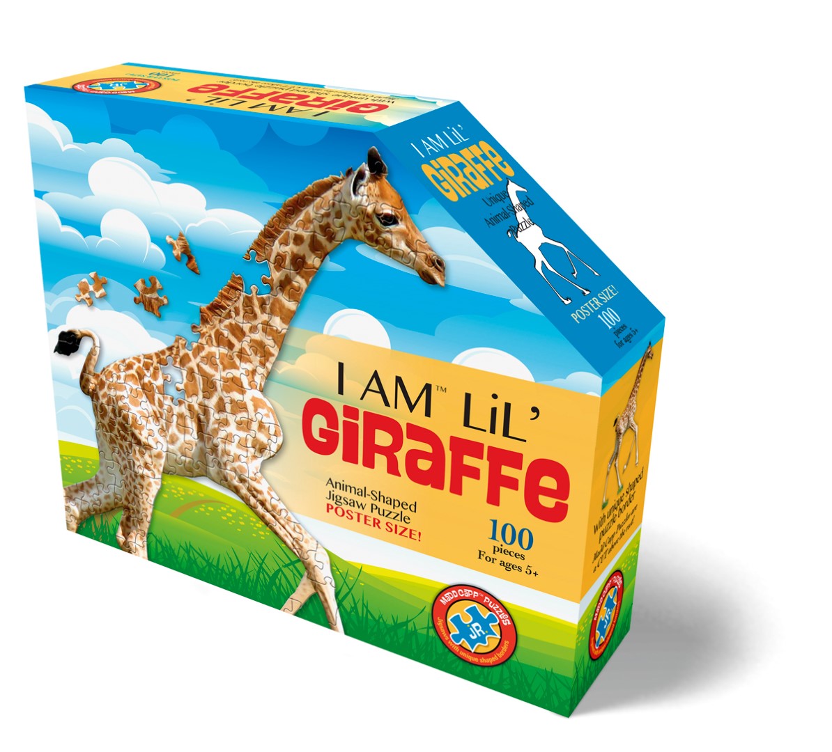 I Am Lil&
