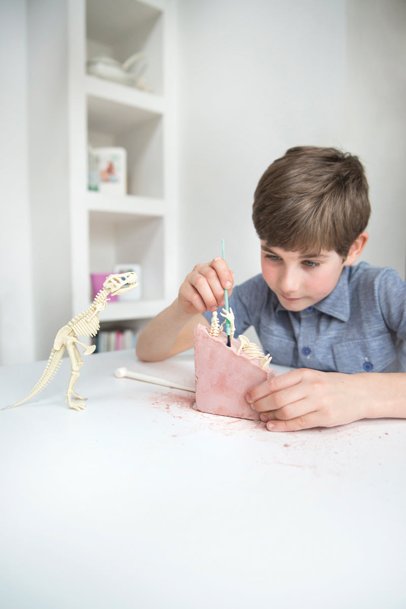 Graaf Je Dino Op Triceratops