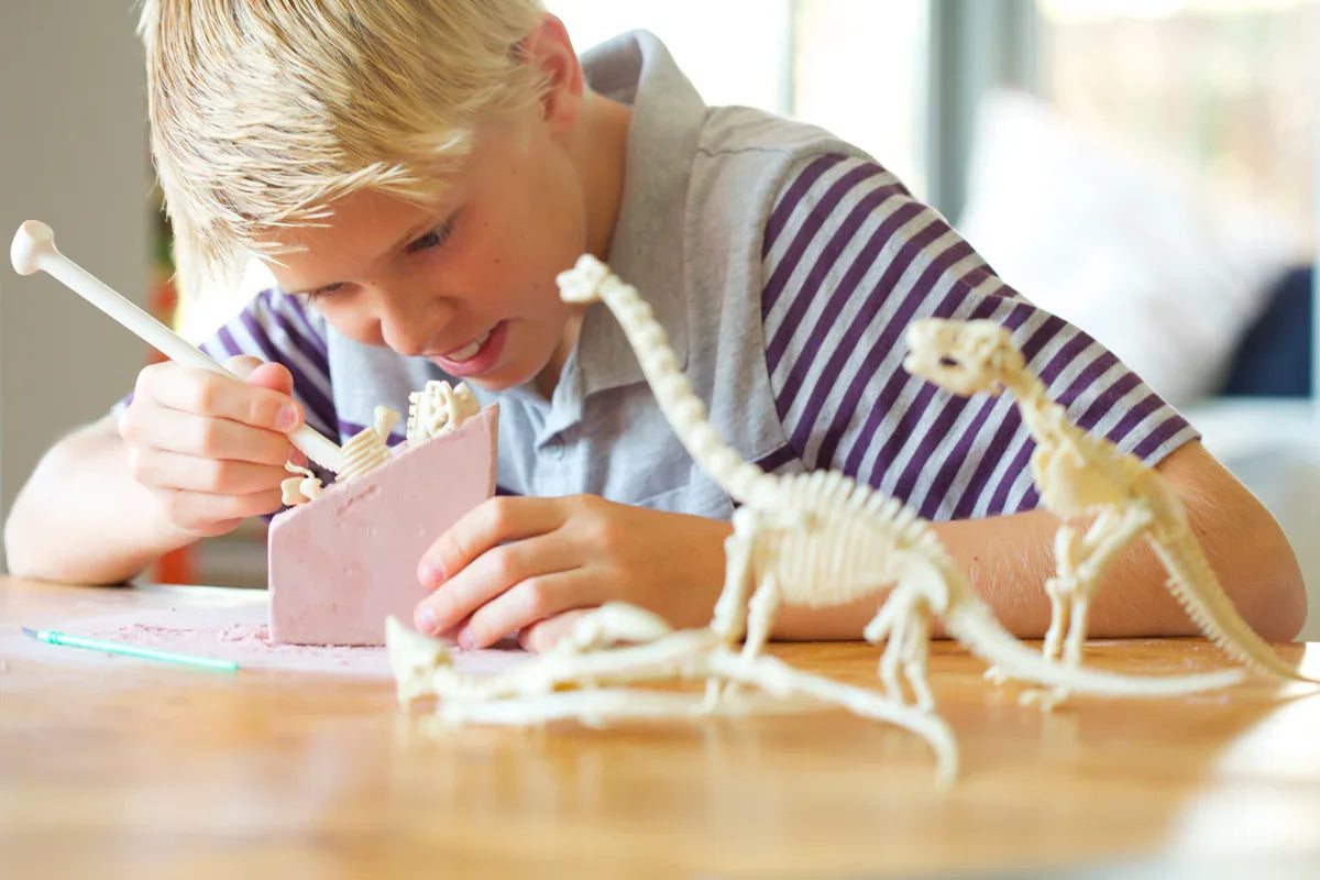 Graaf Je Dino Op Stegosaurus - 4M