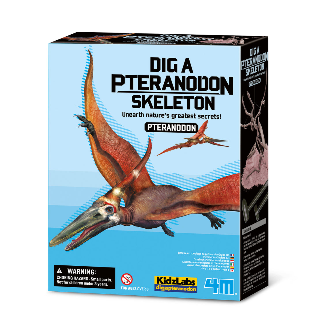 Graaf Je Dino Op Pteranodon