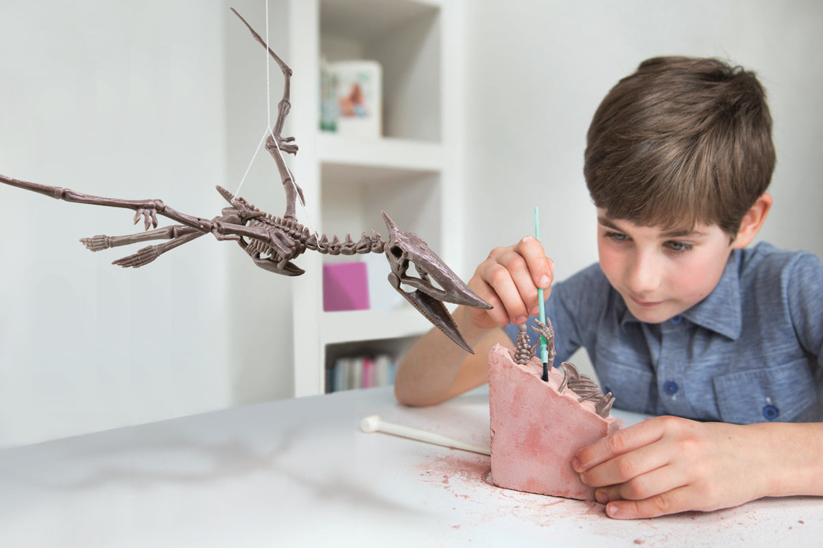Graaf Je Dino Op Pteranodon