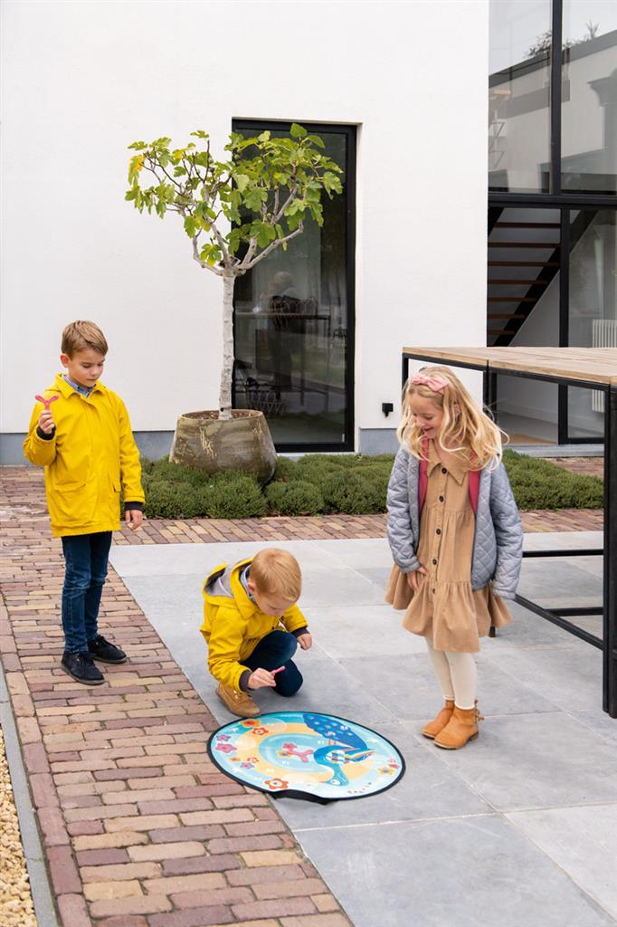 Disker Game Magnetisch Pauw - Scratch