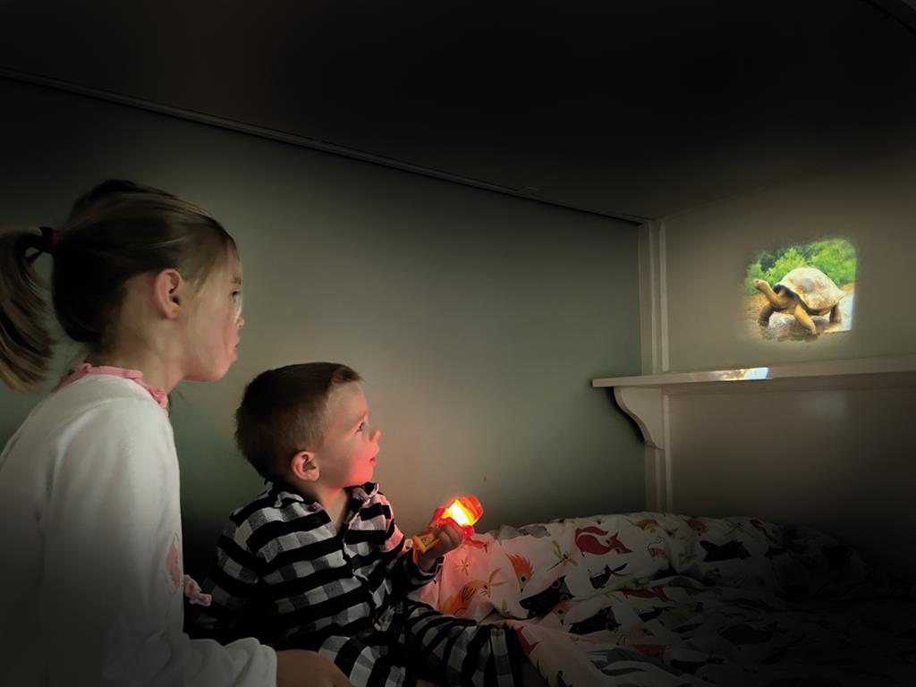 Projectiezaklamp Wilde Dieren