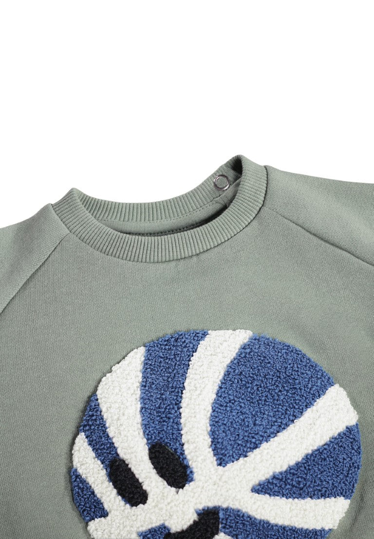Baby Sweater Disk Cladonia