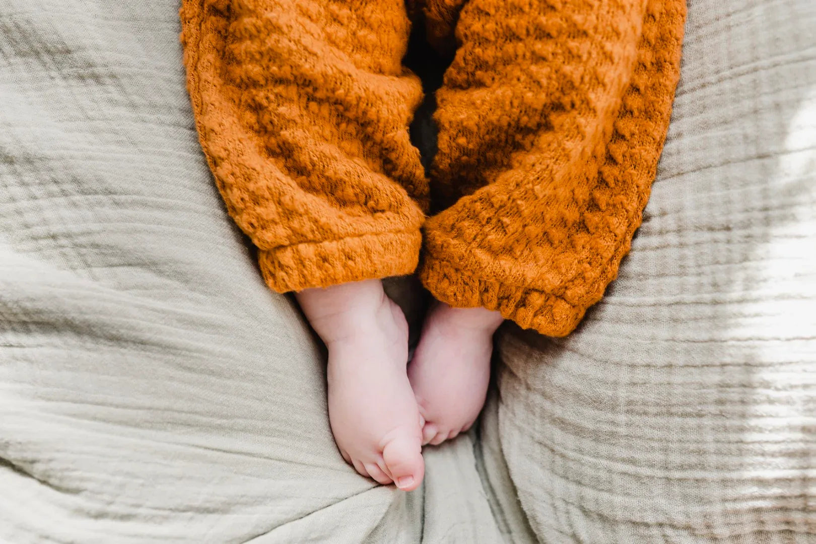 Pear Tree Jackard Jogging Caramel - Beans Barcelona