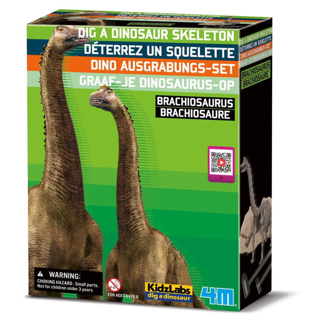 Graaf Je Dino Op Brachiosaurus