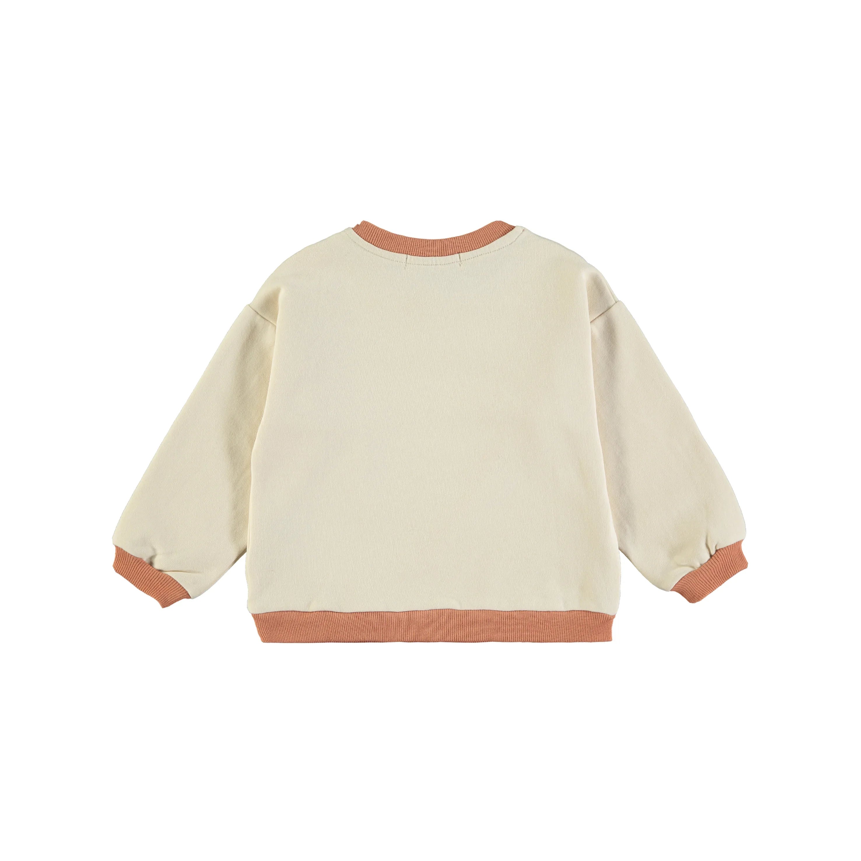Sweatshirt Discover - Babyclic