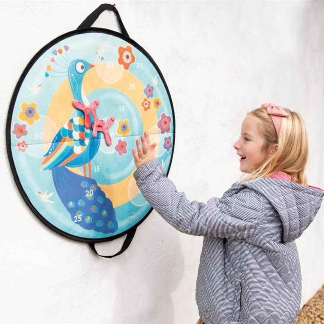 Disker Game Magnetisch Pauw