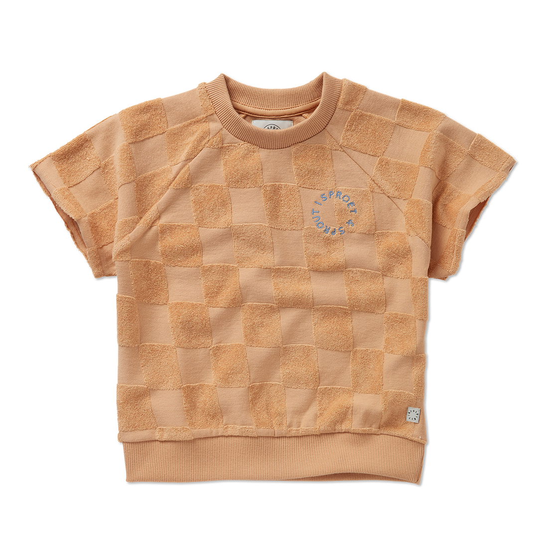 Raglan Sweatshirt Terry Blocks