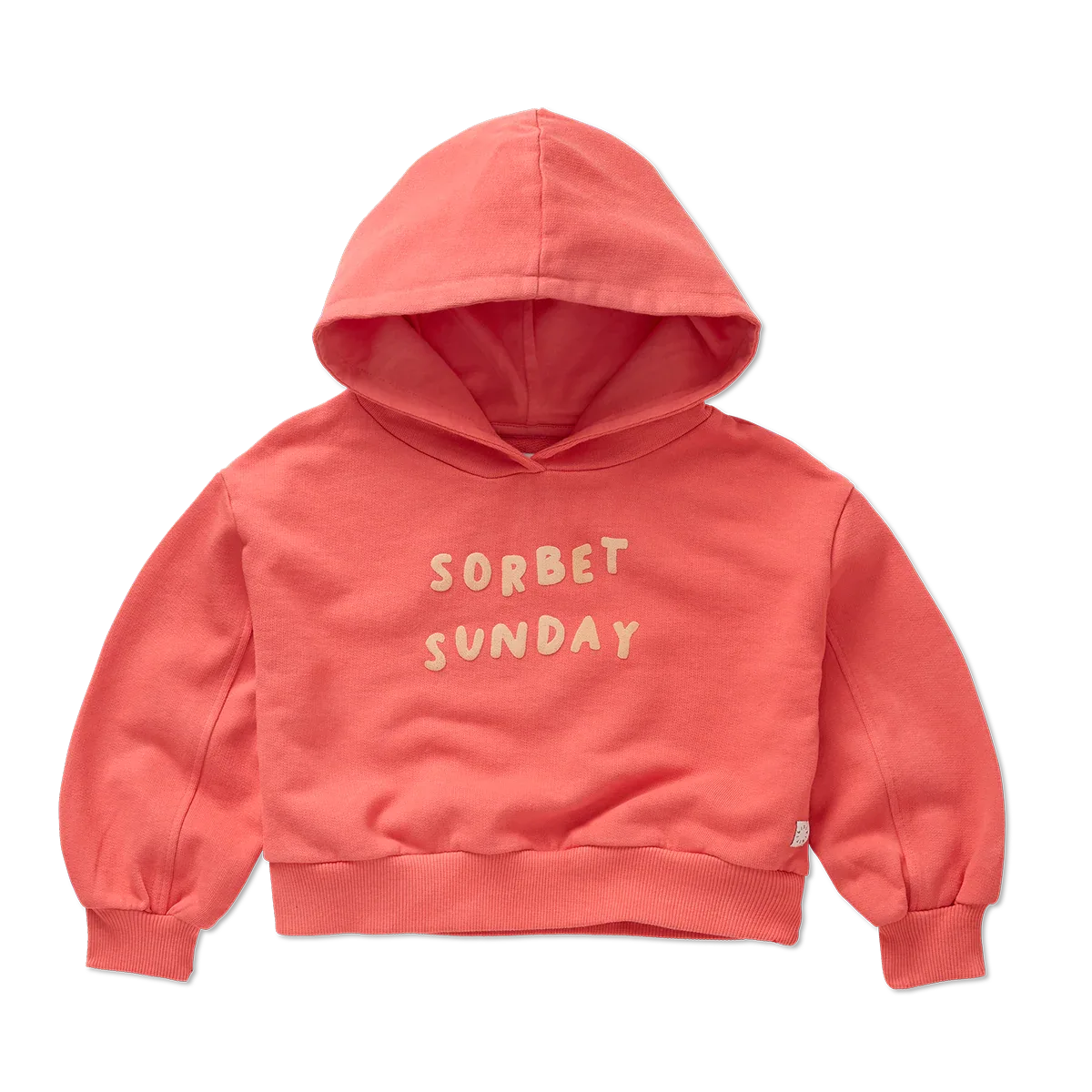 Cropped Hooded Sweatshirt - Sproet & Sprout