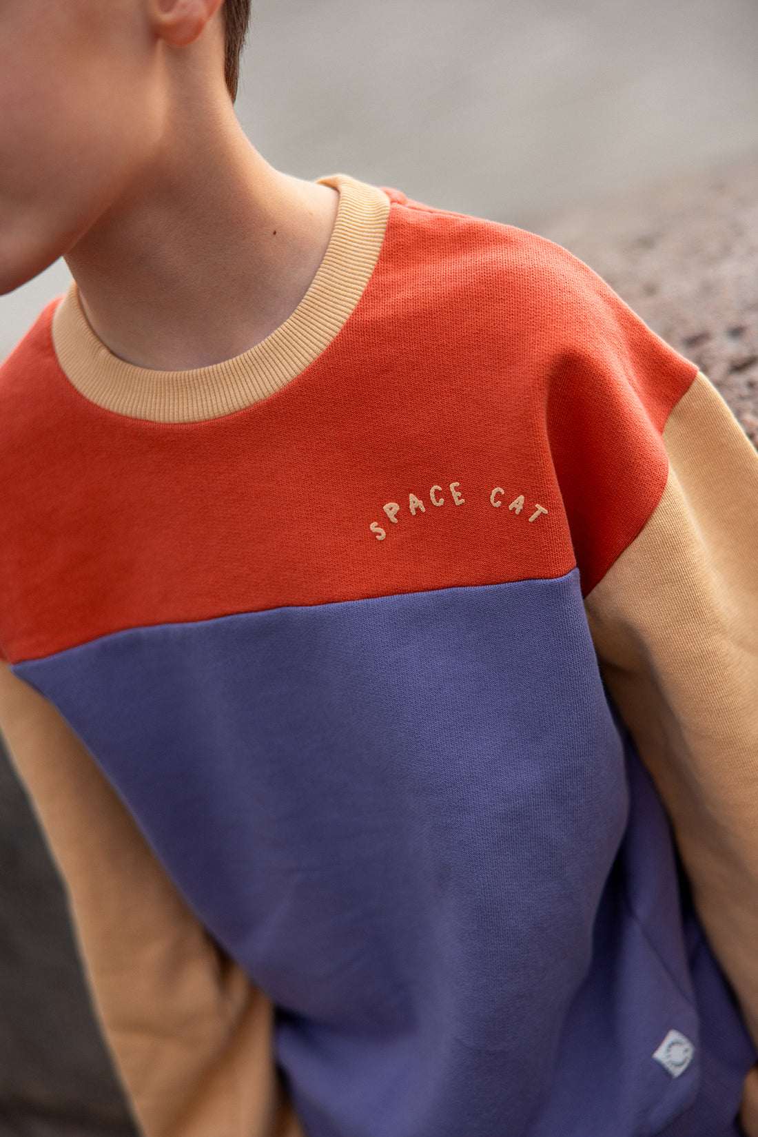 Sweatshirt Colourblock Grenadine