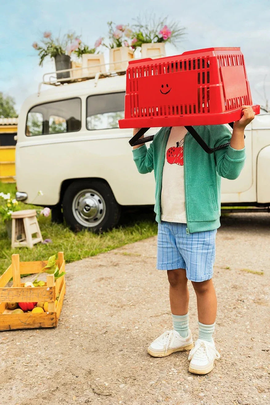 Woven Chino Shorts Thin Stripes - Sproet & Sprout