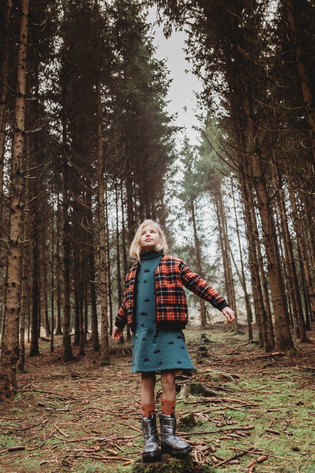 Dress Turtle Neck Mountains Print Smoke Pine