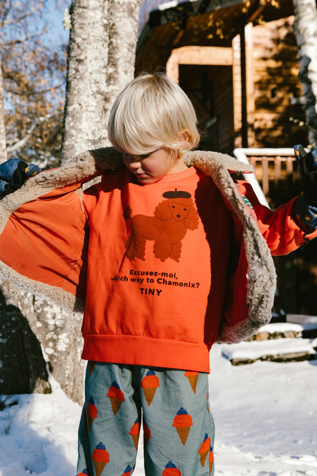 Tiny Poodle Sweatshirt Summer Red