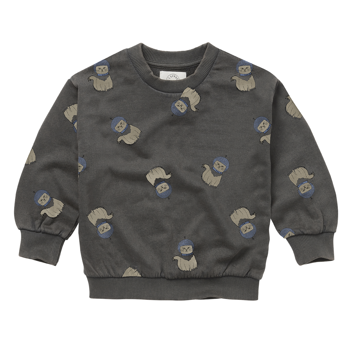 Sweatshirt Space Cat Print Washed Black