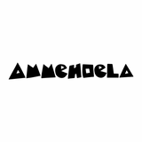 Ammehoela | Logo | Kinderkleding KDkes