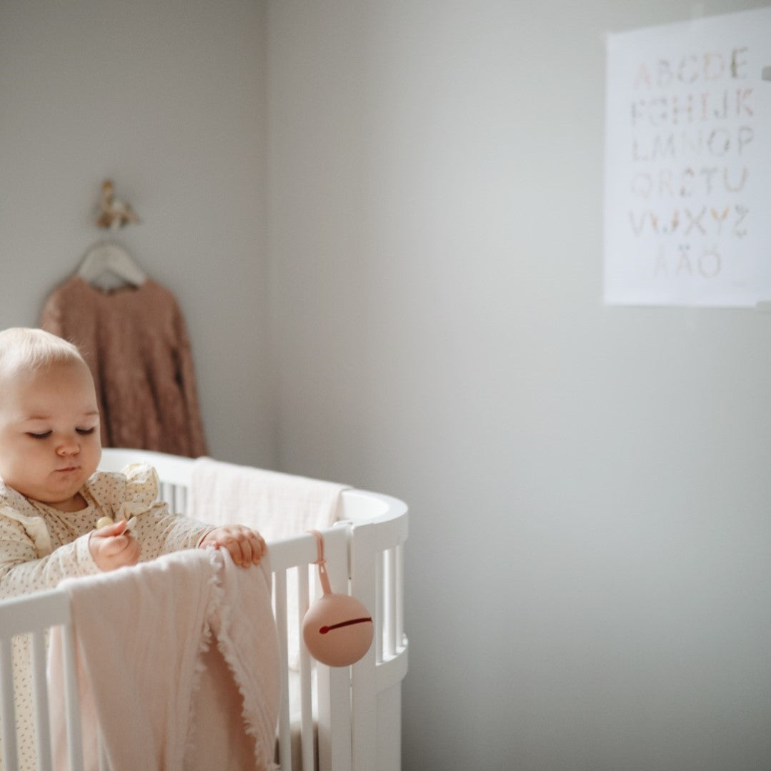 Bibs Silicone Pacifier Case Blush