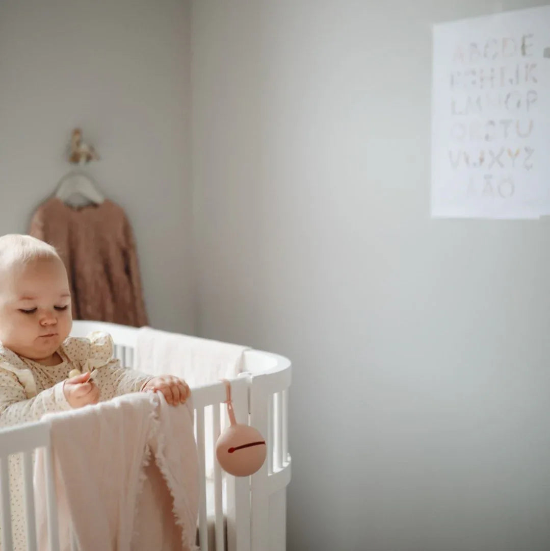 Bibs Silicone Pacifier Case Blush - Mushie