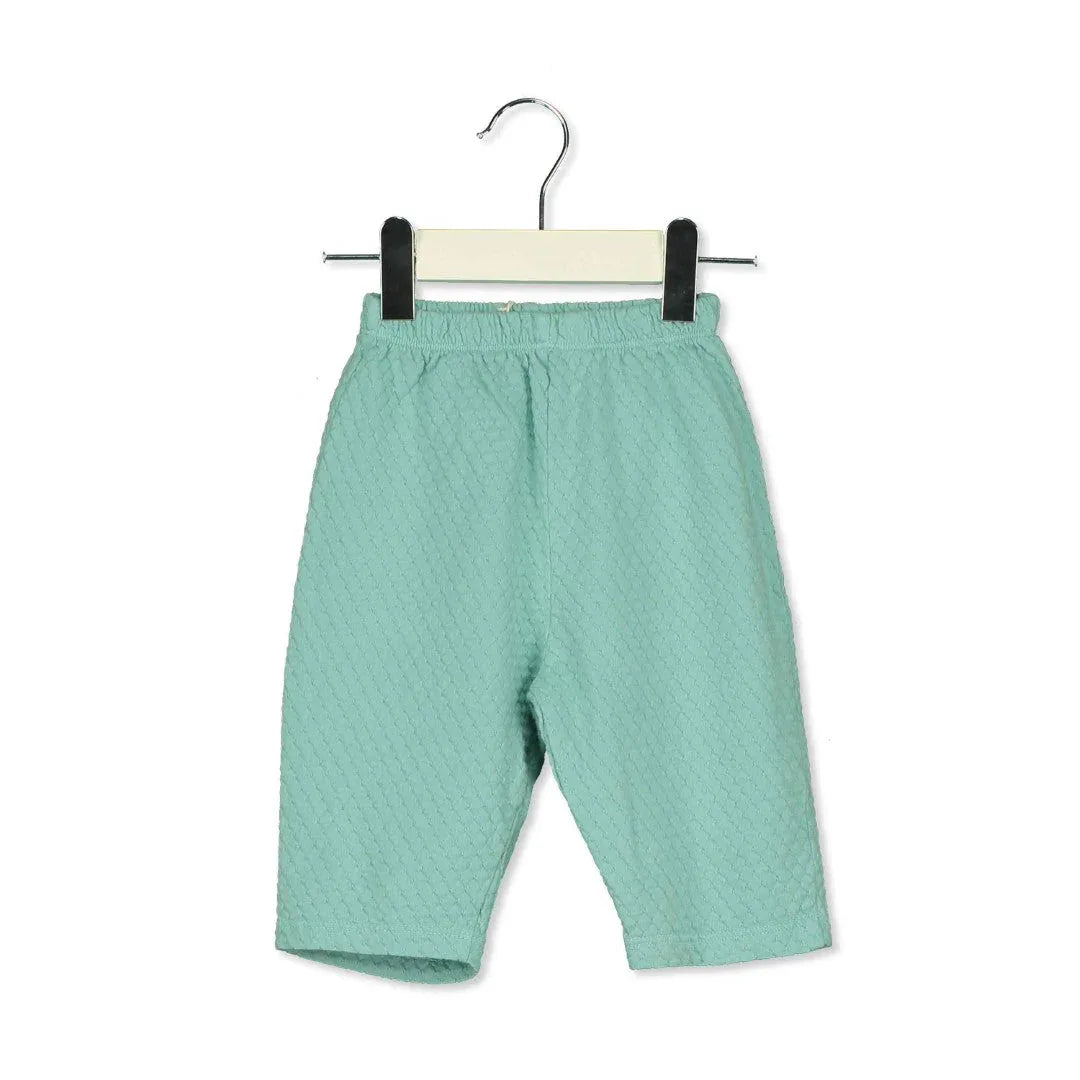 Baby Wide Pants Seagreen Solid - Lötiekids