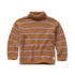 Turtleneck Sweater Stripe Lion van Sproet & Sprout
