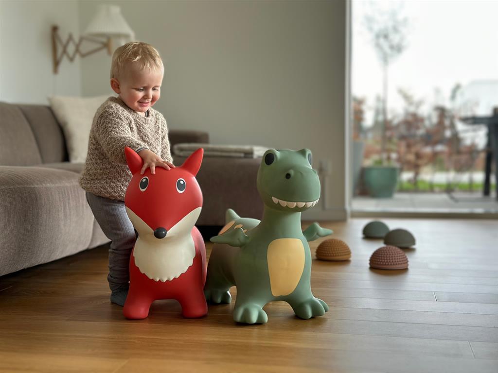 MERK Find That Hippo