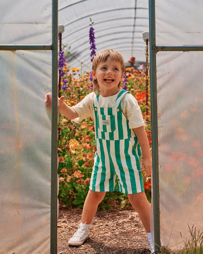 Happy Stripe Button Burton Overall Green White - Goldie+Ace