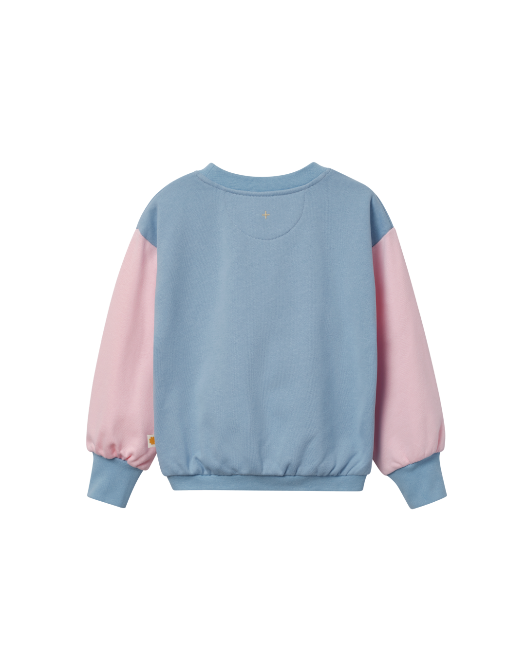 Butterfly Puff Print Oversized Sweatshirt