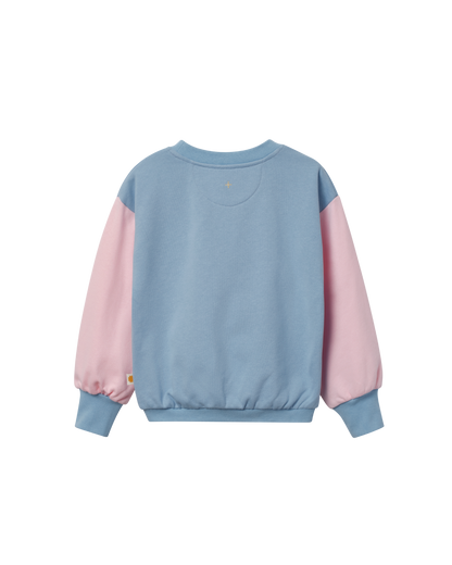 Butterfly Puff Print Oversized Sweatshirt
