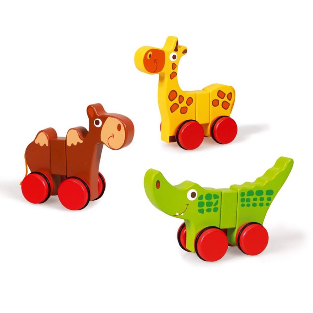 Magnetische Dieren Op Wielen Safari