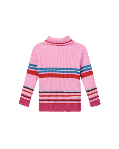 Retro Stripe Roll Neck Knit