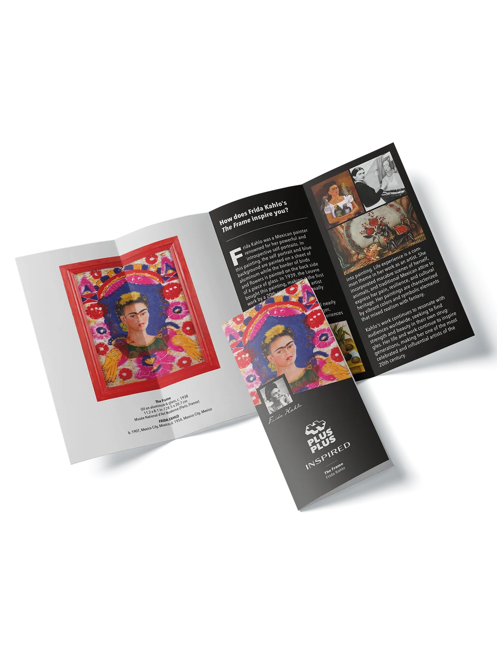 Inspired Kahlo The Frame 350 pcs