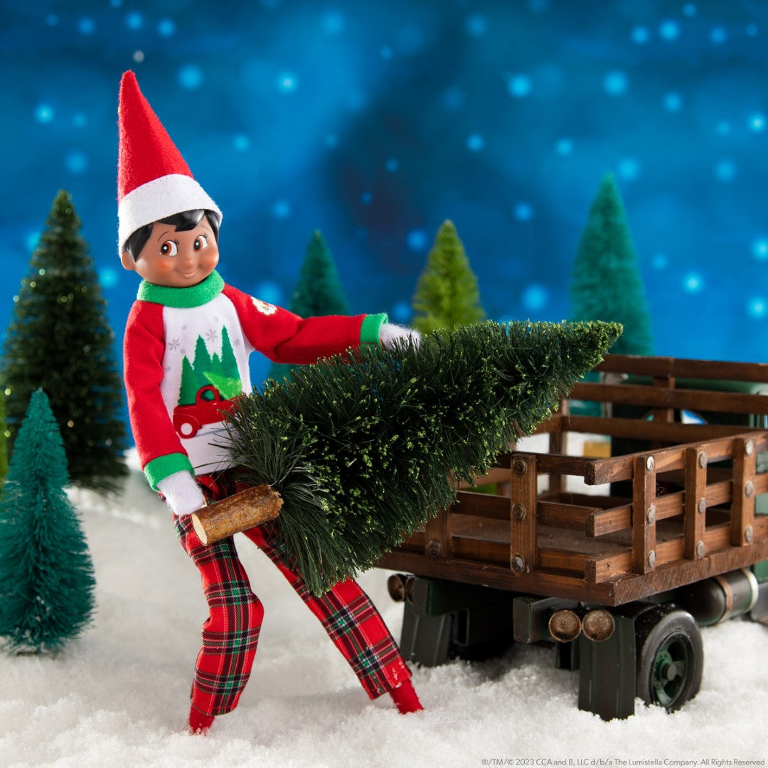 The Elf On The Shelf Boy