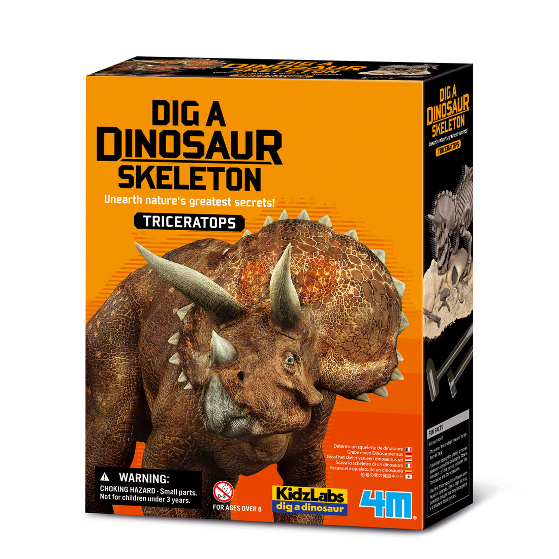 Graaf Je Dino Op Triceratops