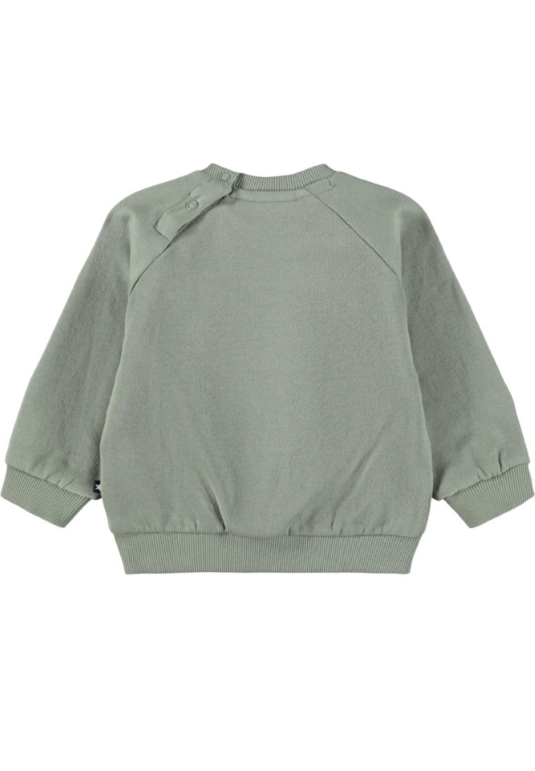 Baby Sweater Disk Cladonia