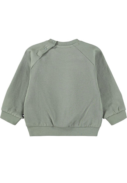 Baby Sweater Disk Cladonia