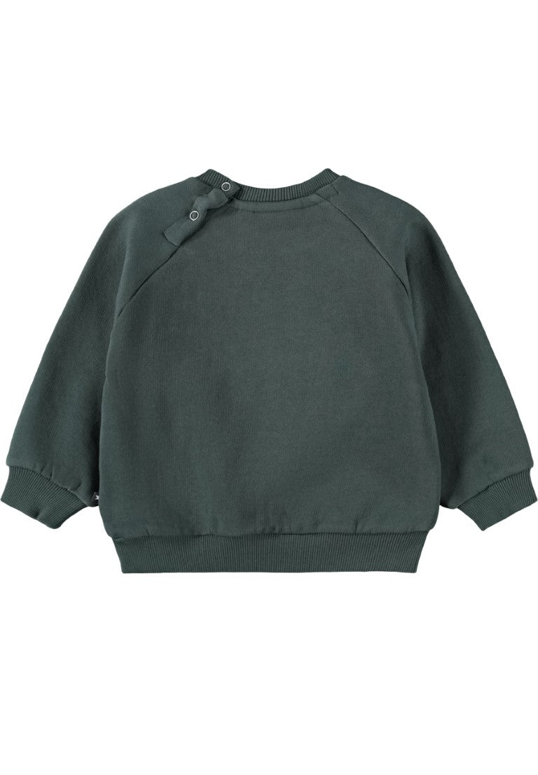 Baby Sweatshirt Disc Taxus