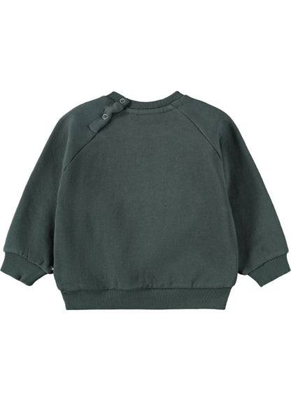 Baby Sweatshirt Disc Taxus