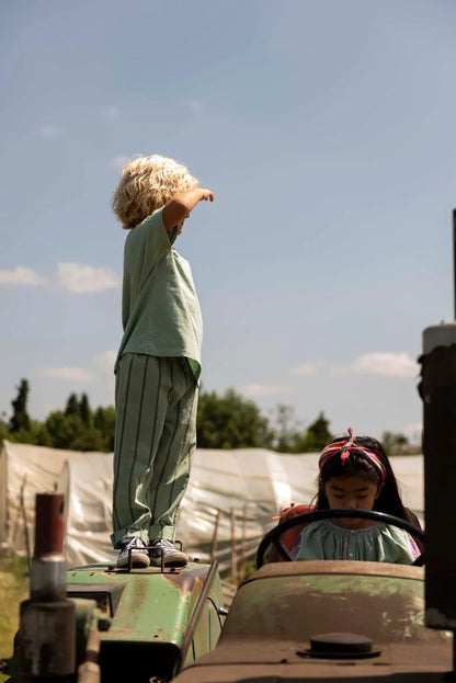 Ben Oversized T-shirt Sage Green - Jenest