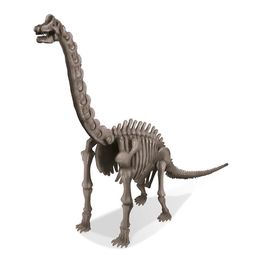 Graaf Je Dino Op Brachiosaurus