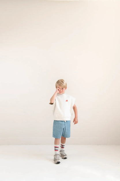 Knox Stripe Shorts Indigo Stripe - Jenest
