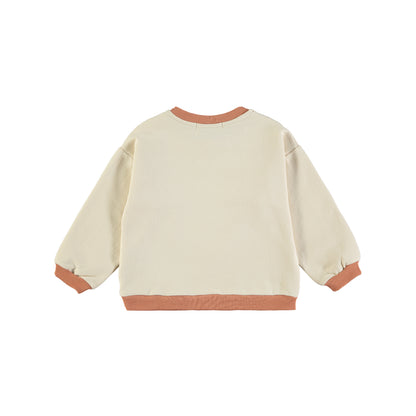 Sweatshirt Discover