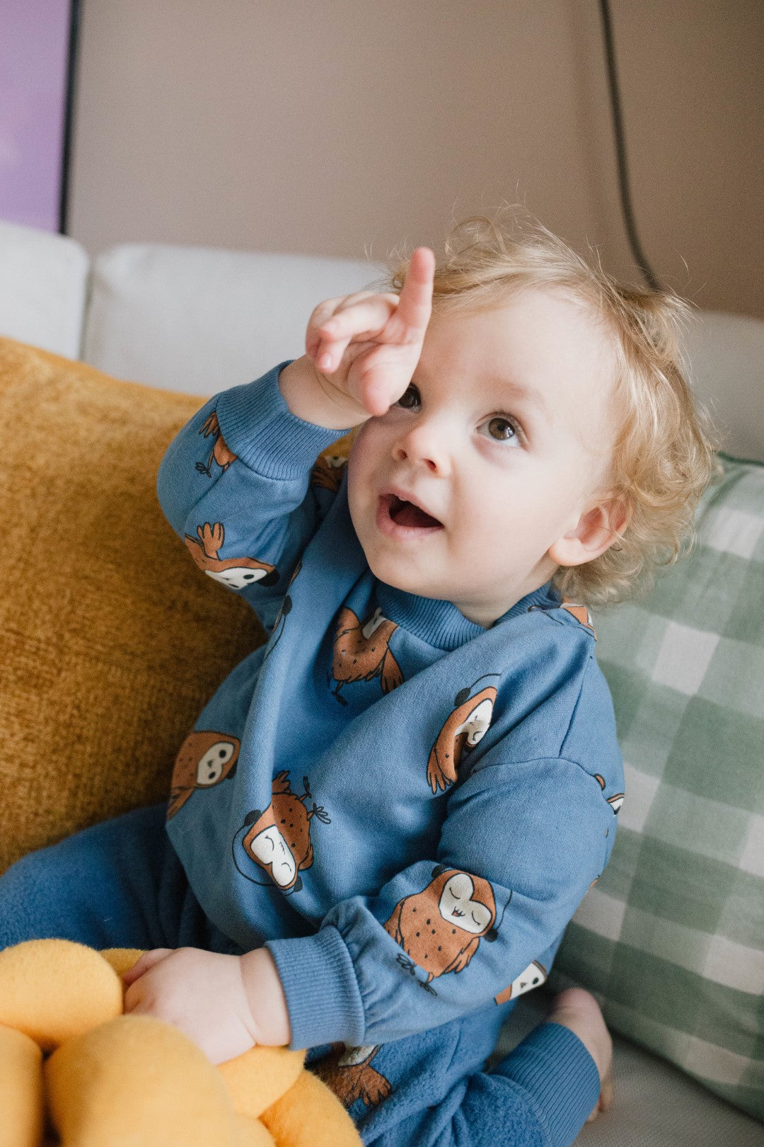 Baby Sweatshirt Owls Blue