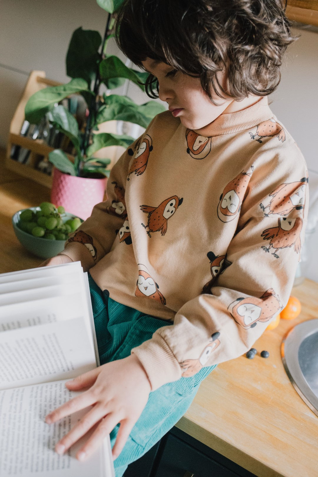 Sweatshirt Owls Ivory