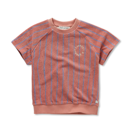 Sweatshirt Raglan Shortsleeve Rose Dawn - Sproet &amp; Sprout